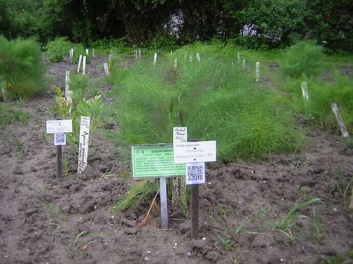 QR Codes on nature trail for information