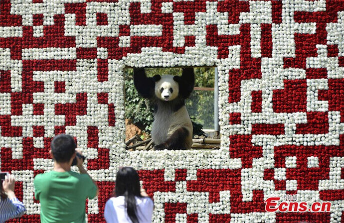 QR Codes in zoos